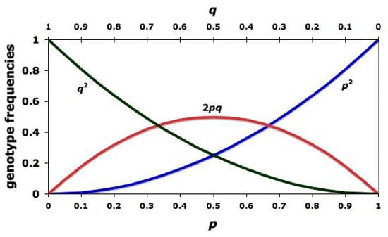 Biology & Ecology: Hardy-Weinberg Equilibrium