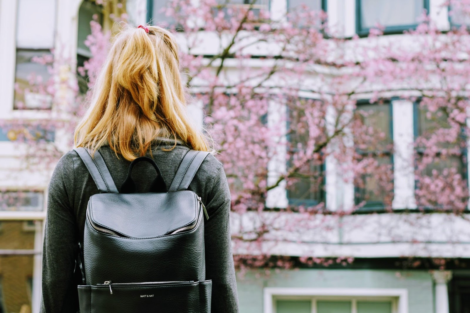 College Bound with Autism