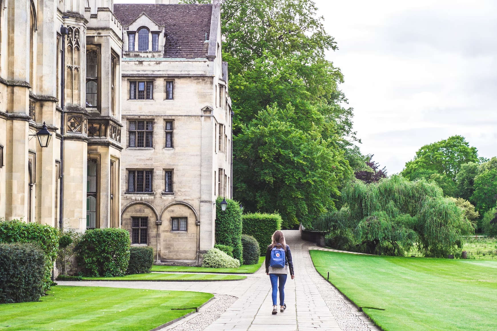 the hidden ivies