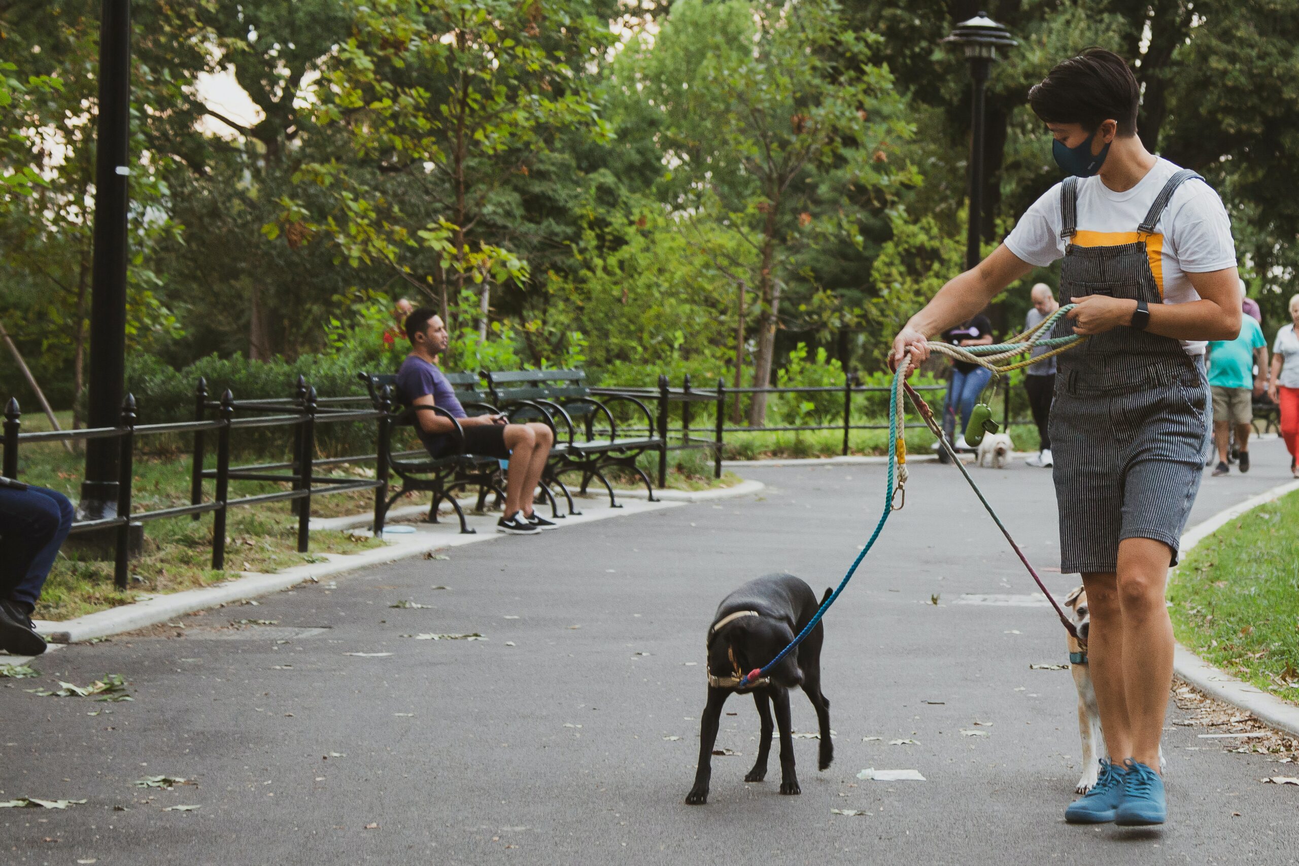 pet ownership