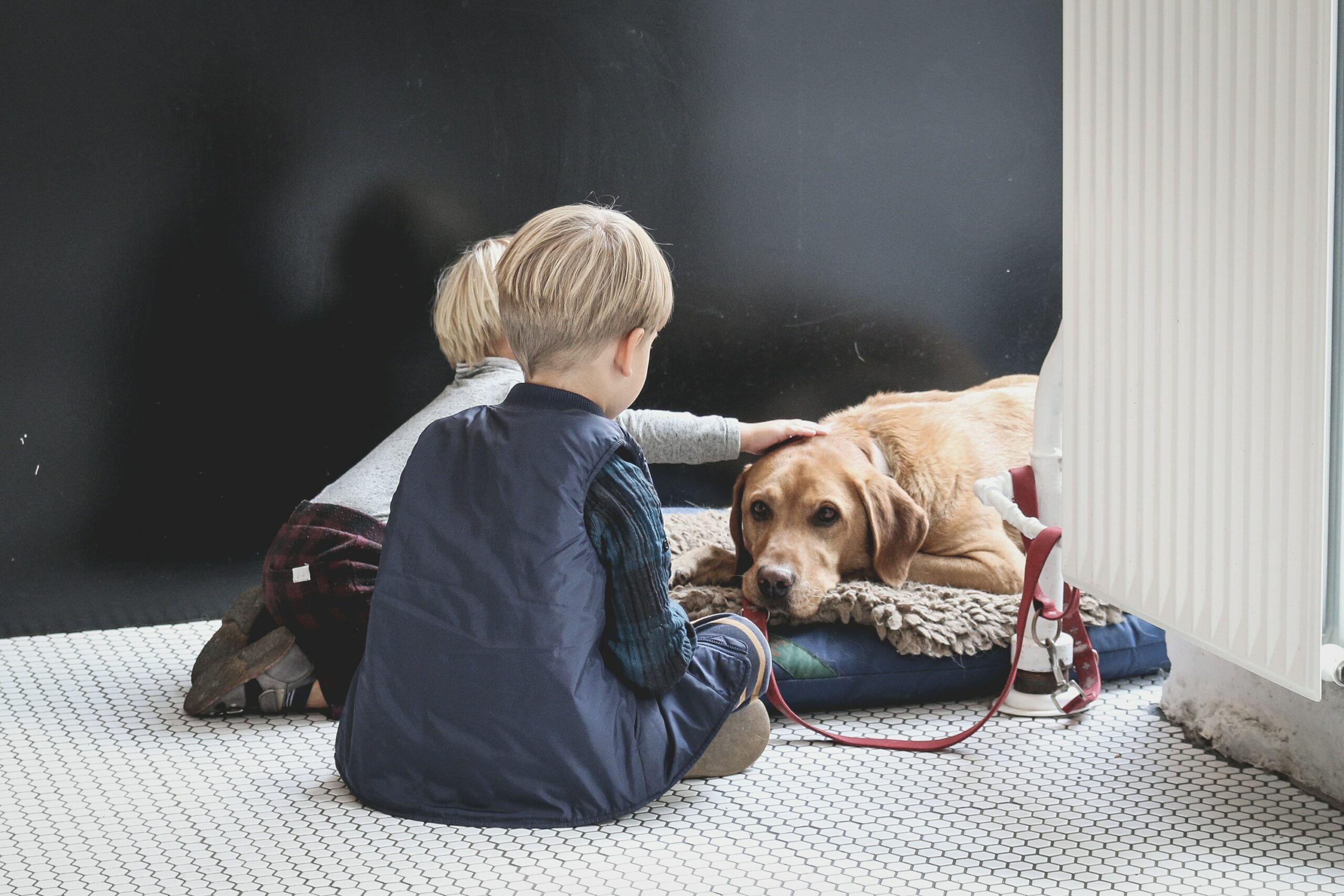 pet ownership