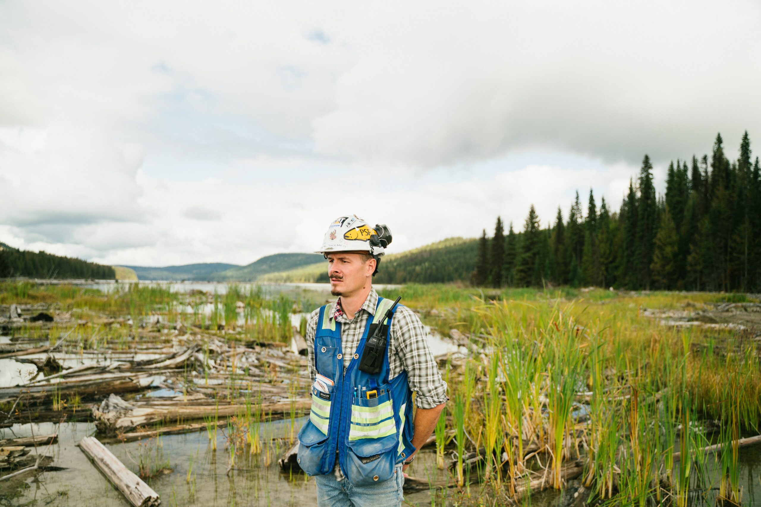 environmental science